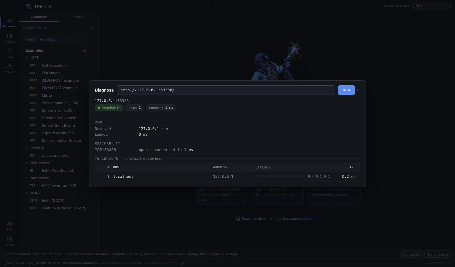 Diagnose Host: DNS, reachability and a traceroute